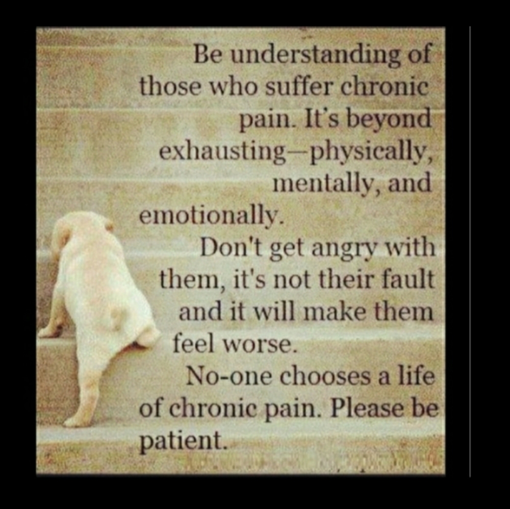 🏈 WISCONSIN HOODIE NUC REALLY RED Sz XL UniSex - Picture 11 of 16